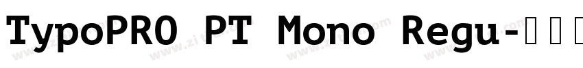 TypoPRO PT Mono Regu字体转换
